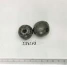 Click for 1 image(s) for this accession. FRUIT